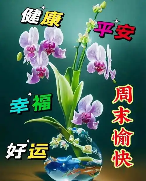 2,周末愉快图片大全,简单暖心祝福语,早上好美好的周末祝福你