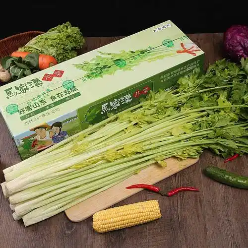 山东青岛平度马家沟芹菜包邮新鲜蔬菜大叶黄芹菜嫩芯4斤芹菜