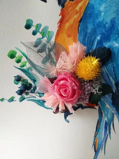 永生花插画画框|插画|艺术插画|赵阿弧_原创作品-站酷(zcool)