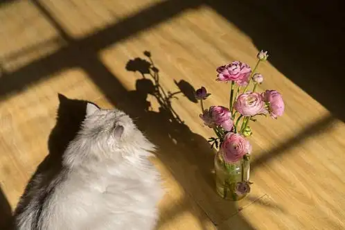 温暖图片_温暖图片大全_全景网