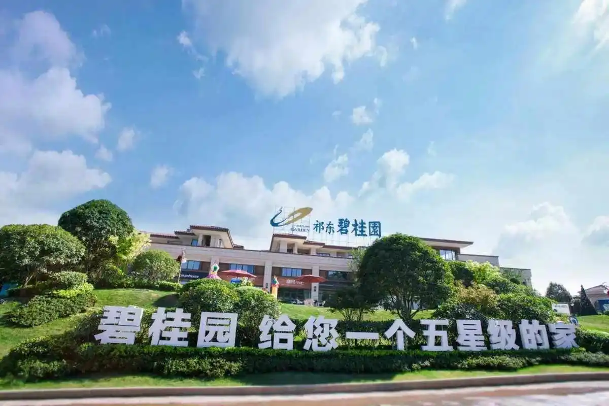 这次碧桂园真的崩盘了吗? 我是忍痛割肉果断平仓呢?