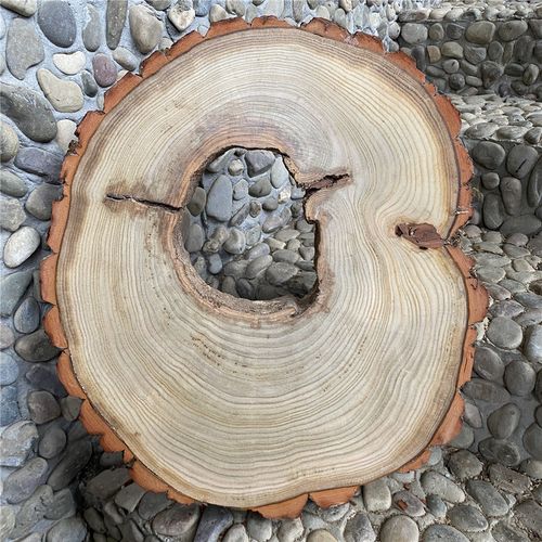 木片木头圆木diy手绘原木年轮直播片带洞画摆件