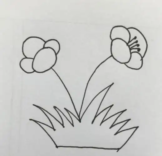 画小草的简笔画画法