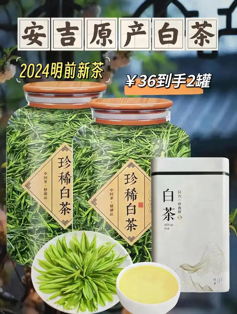 2024年正宗明前安吉白茶新茶上市!是浙江安吉县的独有特产