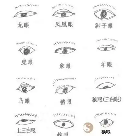 面相眼睛一大一小,眼睛主人一生富贵与贫贱(一)-相术-荣耀易学