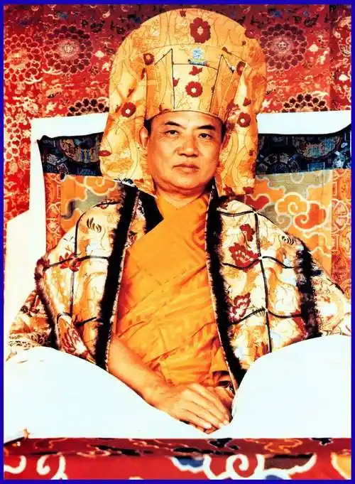 邬金仁波切16世大宝法王身边的鸟和狗都是坐着往生的