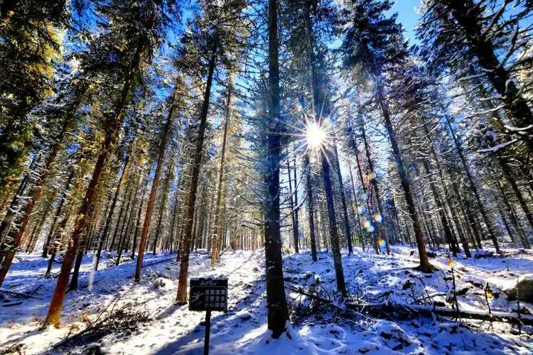 雅安宝兴神木垒