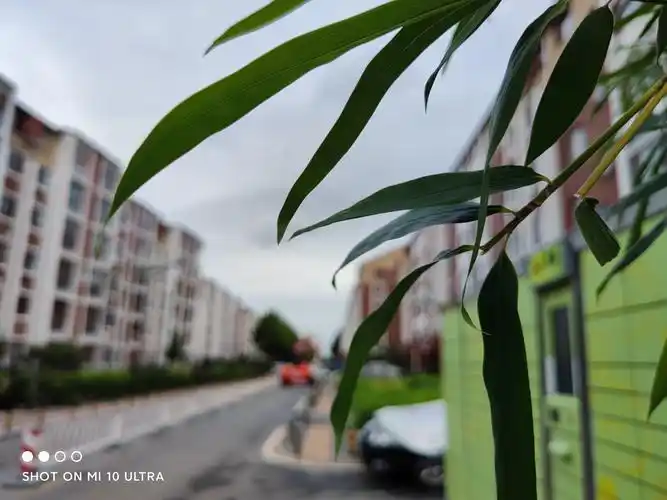 大光圈虚化我好爱啊 大家都来秀一秀你们的虚化吧