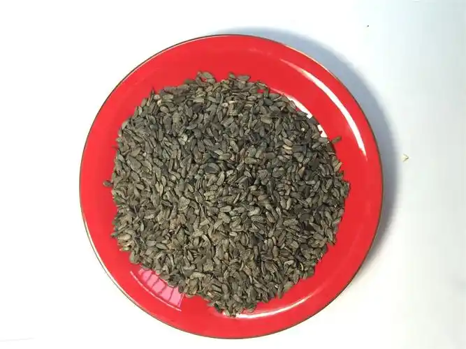 牛蒡子牛蒡籽大力籽大粒子牛子根