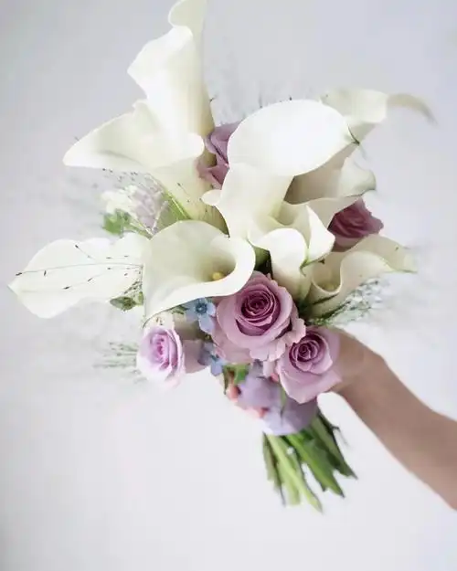 定义优雅马蹄莲浅紫色手捧花