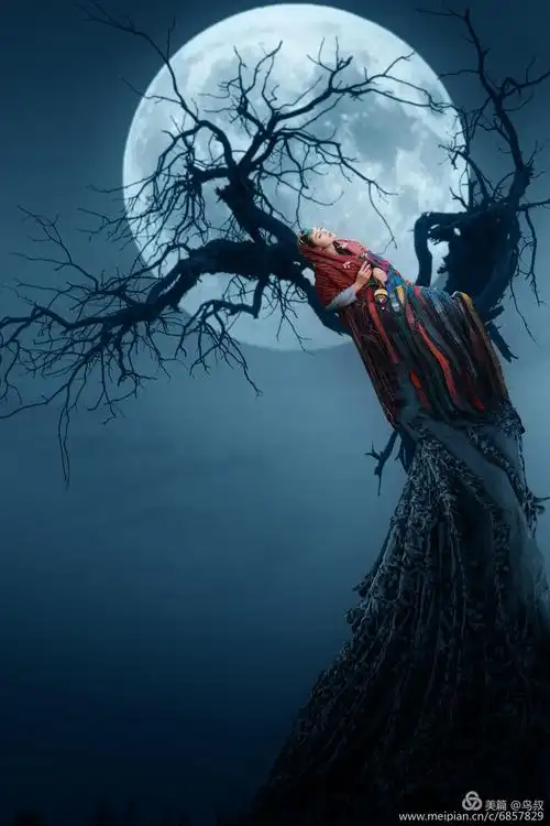 燃一盏心灯,照亮每一个黑暗的角落