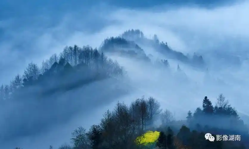 黄志强:光影"四季"