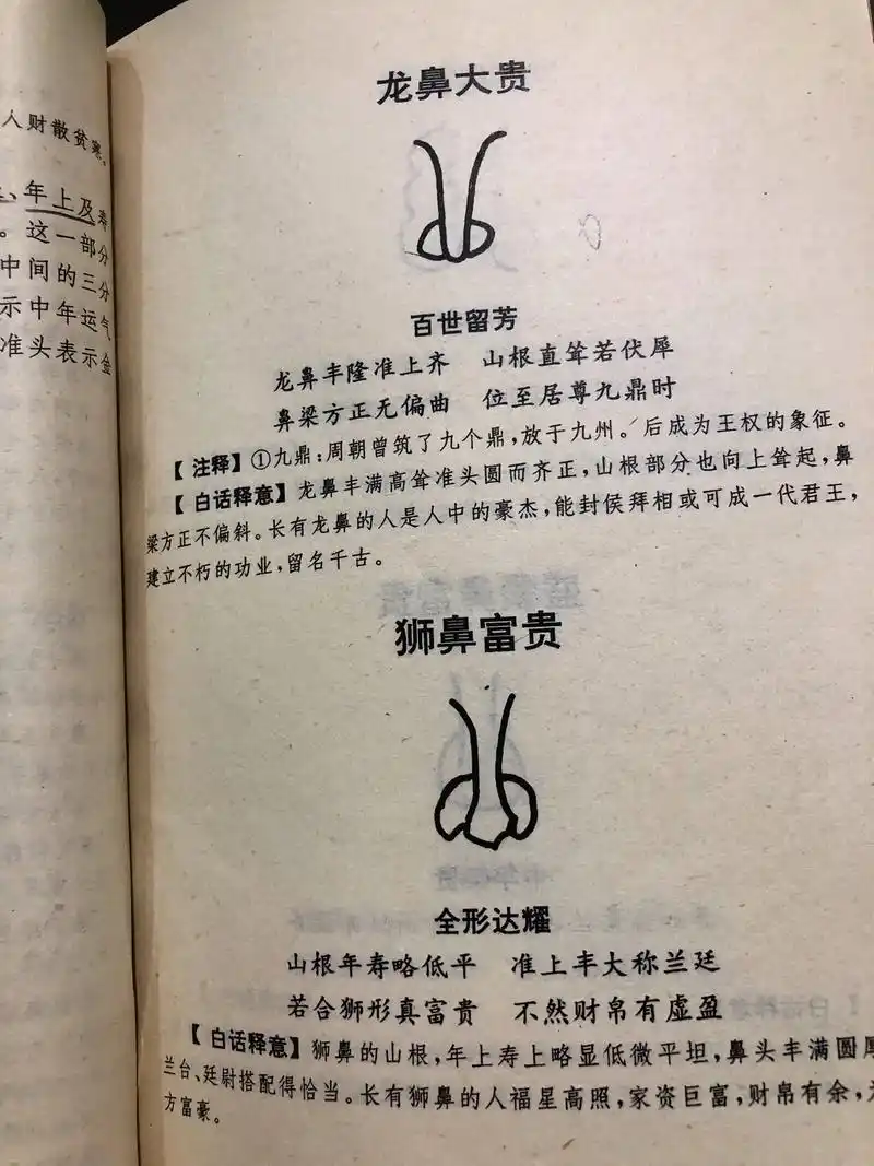 鼻如悬胆身须贵,土耀当生得地来,若见山根连额起,定知荣贵至三 - 抖音