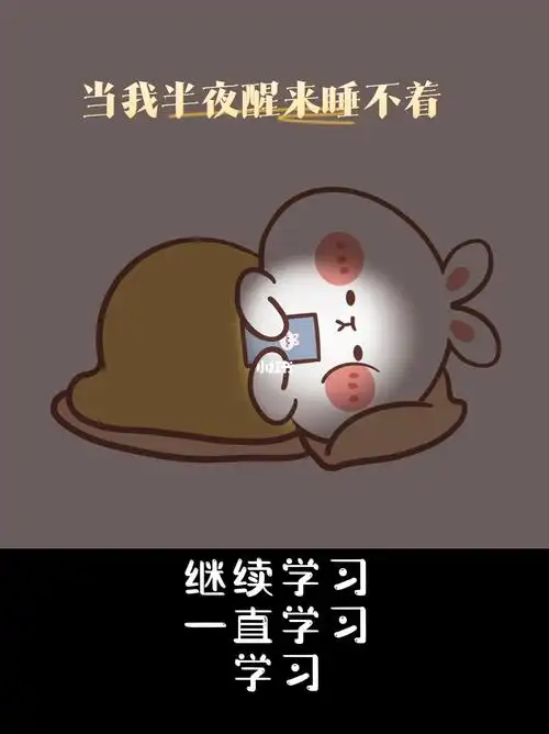 当我半夜醒来睡不着