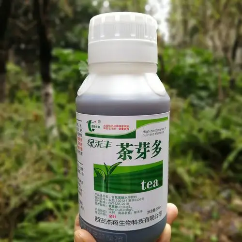 茶叶催芽促芽壮芽茶树氨基酸水溶肥料新型肥料