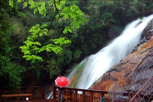 天门沟树上温泉