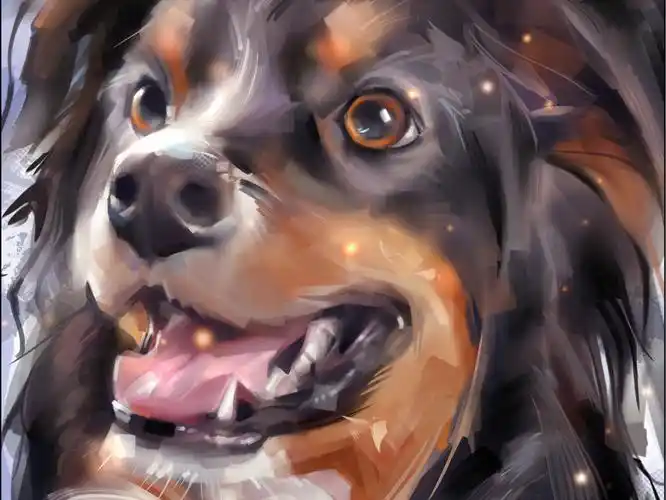 今天教你画狗狗-绘画过程