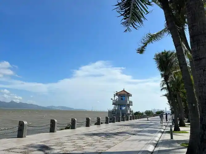 深圳湾和红树林公园