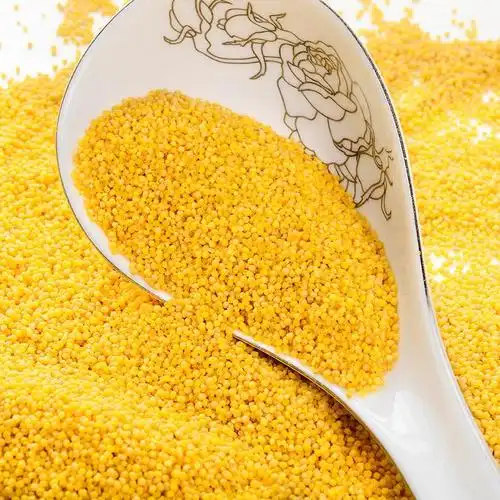 早天下 优质小米 500g图片,细节图,查看大图 - 爱尚家网上商城