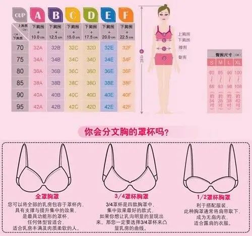 计算罩杯时前面的数字怎么换算?