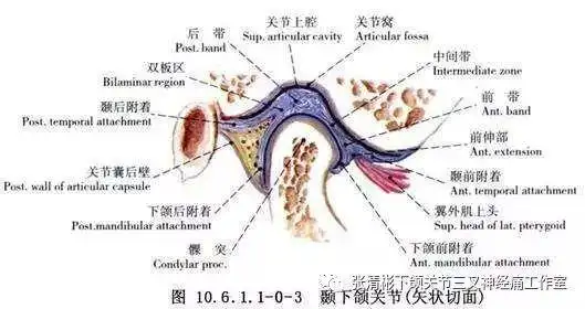 颞下颌关节盘穿孔的诊疗浅析