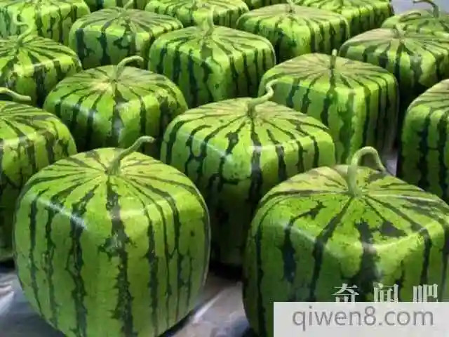 世界上最贵的7种水果,没吃过3种以上,都不好意思说自己是土豪-奇闻