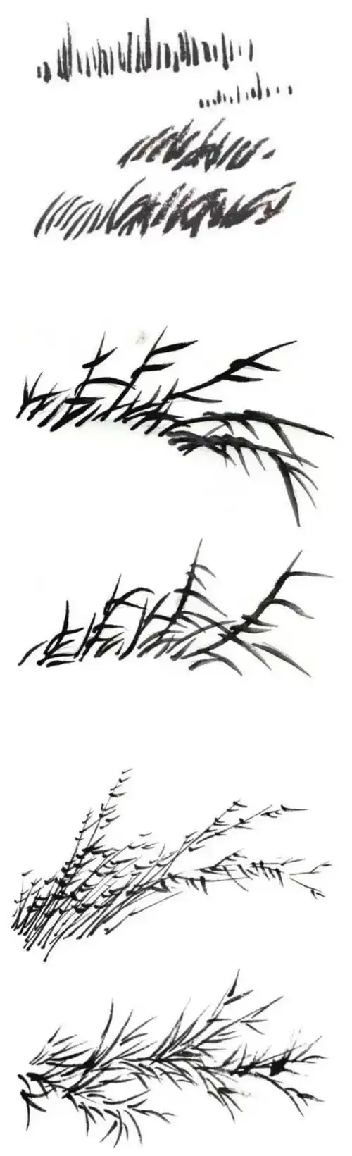 树叶画法——点叶法,夹叶法详解