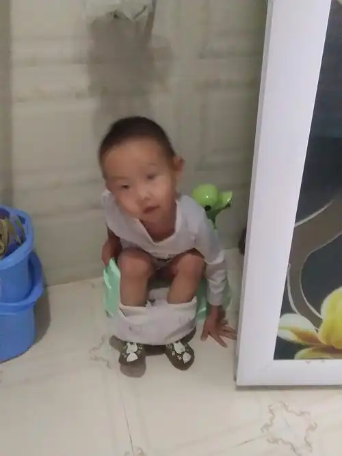 12月31日早晨赵珂在拉屎呢