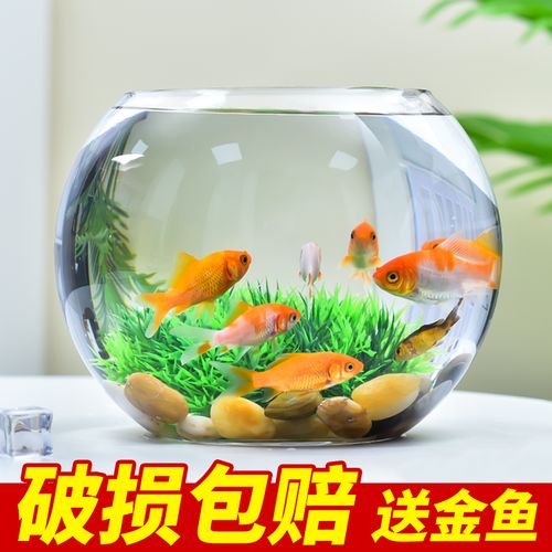 9折后价￥46淘宝新品创意扁口玻璃鱼缸椭圆形 高白透明玻璃金鱼缸迷你