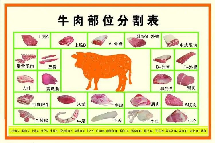 一种牛肉部位分割表