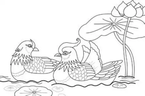 古风白描 鸳鸯戏水