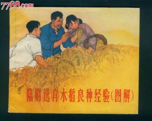 陆财选育水稻良种经验,连环画/小人书,六十年代(20世纪),绘画版连环画