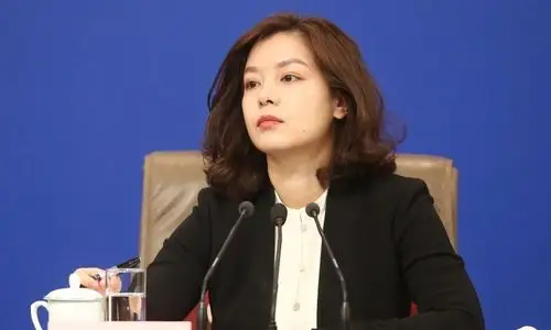 中国外交部七大女神翻译官美貌与智慧并存