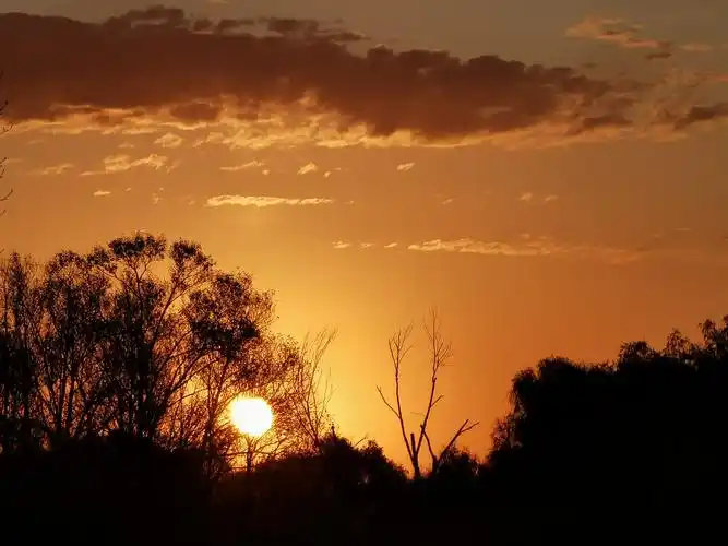 《早市拾零》 晨曦曙光从东亮起,晨雾在慢慢的消失,明媚阳光照耀在