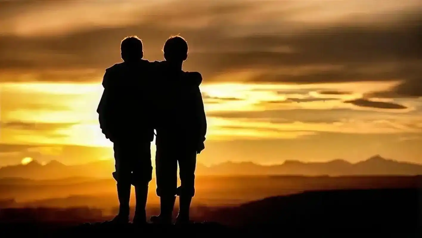 兄弟情深抵不过枕边风吹.