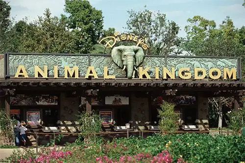 任选一(orlando theme park of your choice)(或参加特色一日游三选一