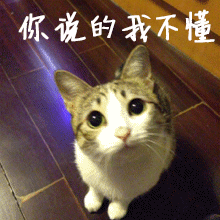 你说的我不懂gif