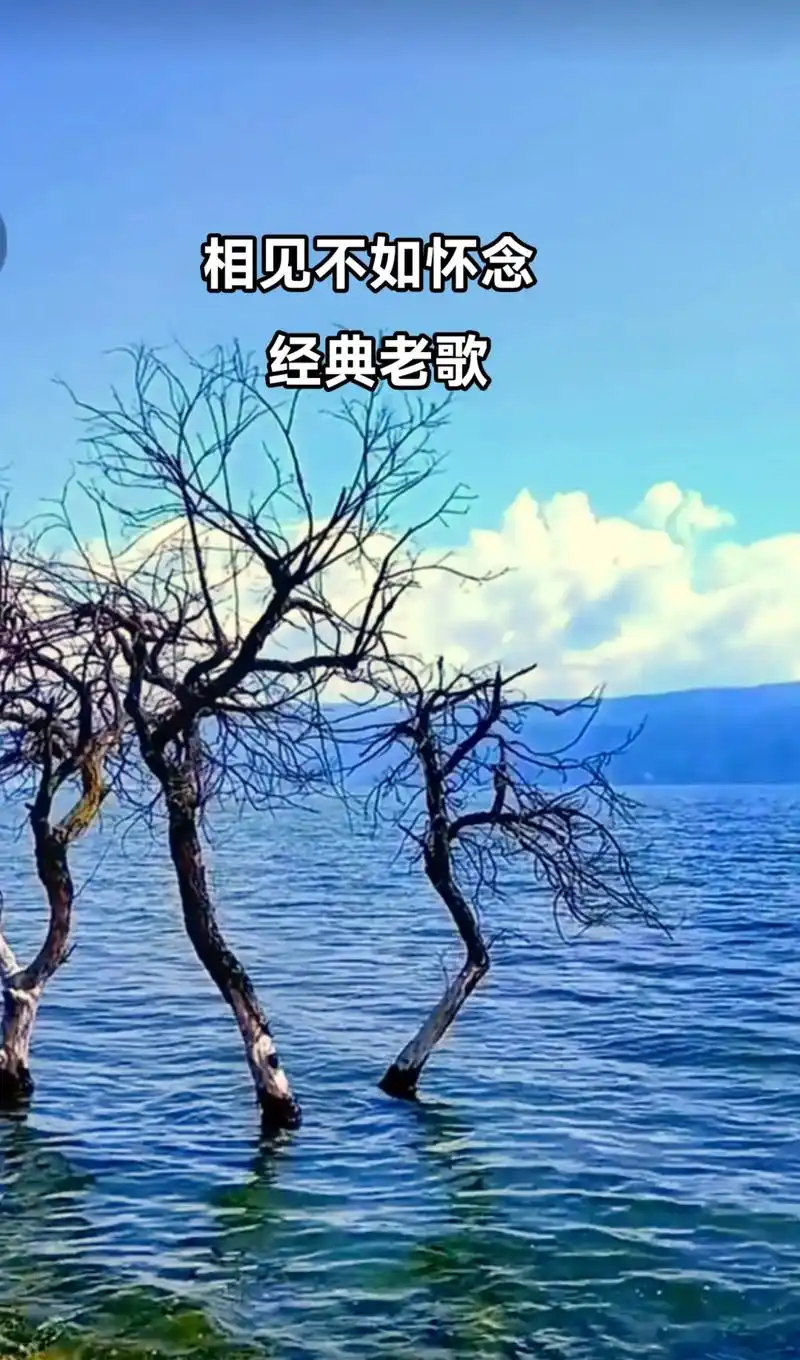 若无相欠,怎会相见.希望往后可以不谈亏欠,不负遇见…#没有相 - 抖音