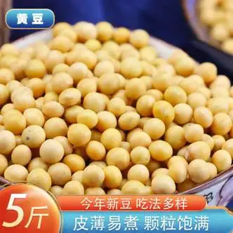 xywlkj黄豆新货5斤农家土黄豆大豆发豆芽打豆浆豆类五谷杂粮粗粮250克