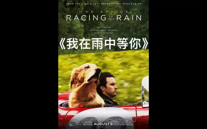19年感人电影《我在雨中等你》