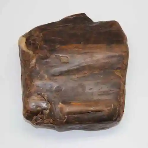 180万 元规格:2324cm标的号:530拍卖地点:名称: 木化石530拍品详情>