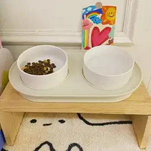 猫盆宠物盆食盆