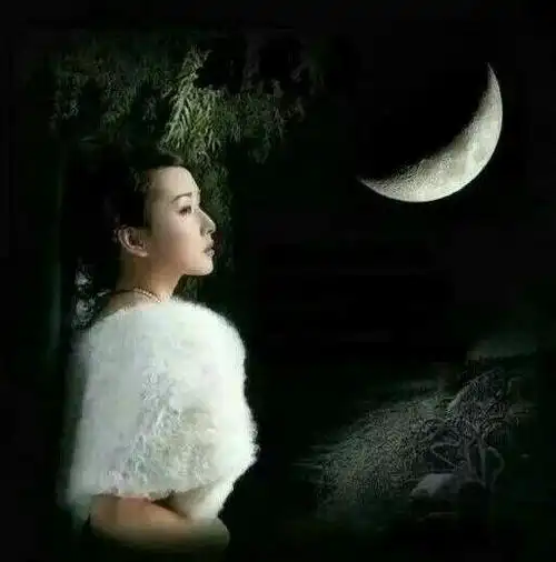 万千誓言终成梦,孤影伴月夜长叹