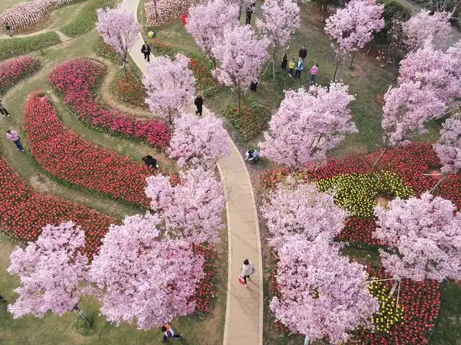 游客在江西省南昌县的凤凰沟景区踏春游玩(3月12日摄,无人机照片).
