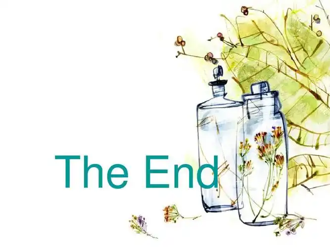 韩流对中国文化的影响ppt