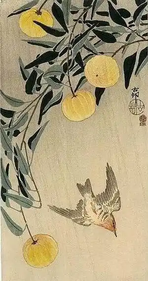 我们常说的周岁,实岁,毛岁,虚岁有何区别呢?