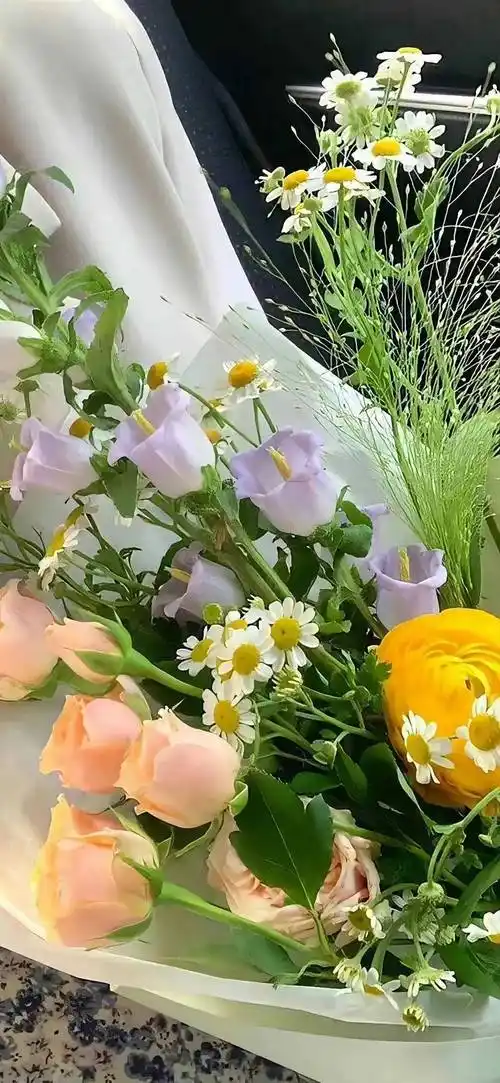 壁纸超棒的ins优质壁纸