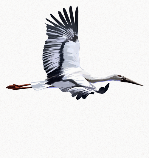 640_674gif 动态图 动图