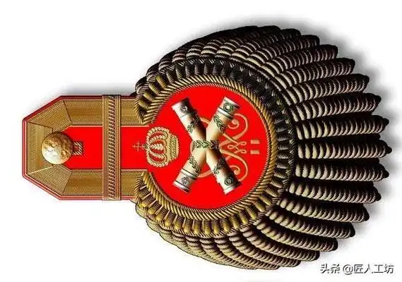 沙俄军官肩章上的秘密从下士到元帅