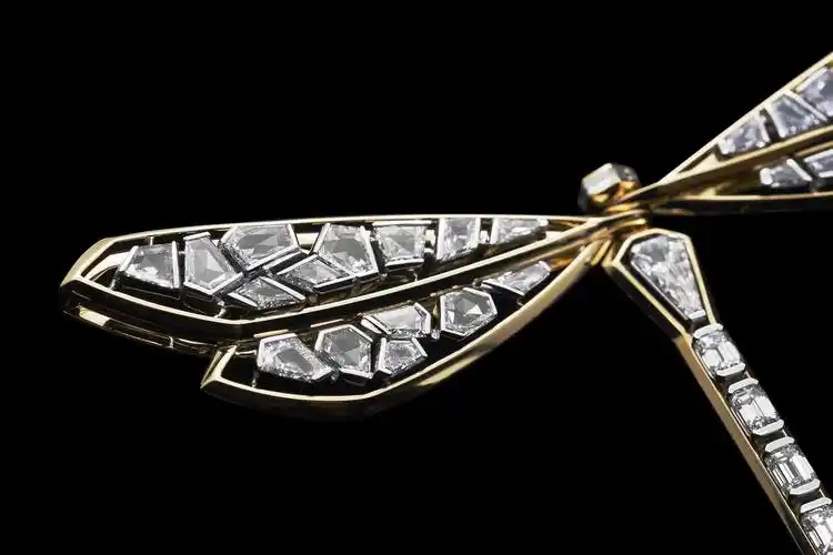 tiffany蒂芙尼bluebook蜻蜓胸针展示充满轻盈而灵动的生命力